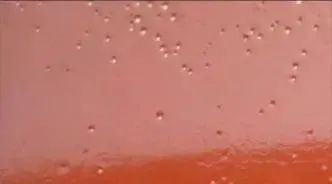 1737099071610008.png image.png